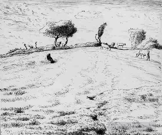 Jean-Francois Millet Various Paintings - Landscape Hillside in Gruchy Normandy
