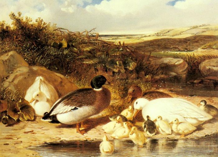 John Frederick Herring Sr Oil Painting - Mallard Ducks and Ducklings On A River