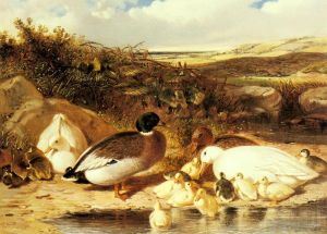 Artist John Frederick Herring Sr's Work - Mallard Ducks and Ducklings On A River