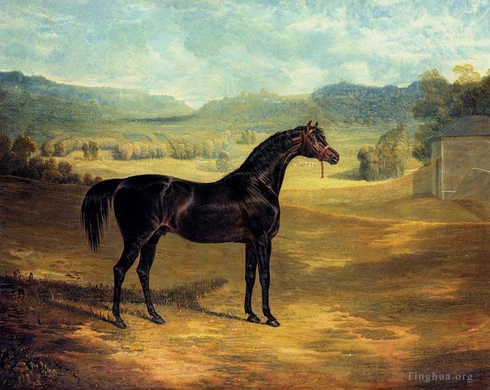 John Frederick Herring Sr Oil Painting - The bay Stallion Jack Spigot