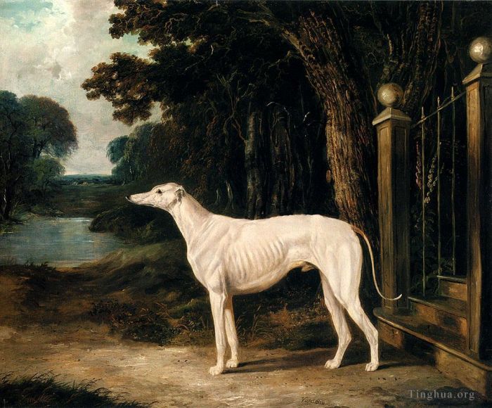 John Frederick Herring Sr Oil Painting - Vandeau A White Greyhound