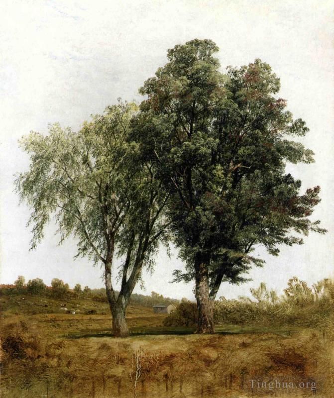 John Frederick Kensett Oil Painting - A Study of Trees