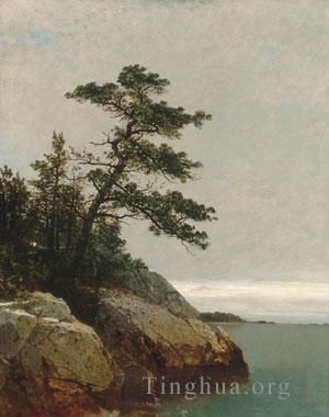 John Frederick Kensett Oil Painting - The Old Pine Darien Connecticut