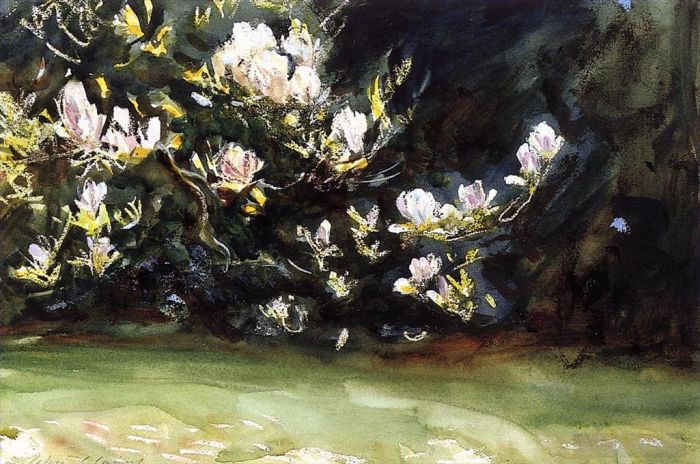 John Singer Sargent Various Paintings - Magnolias
