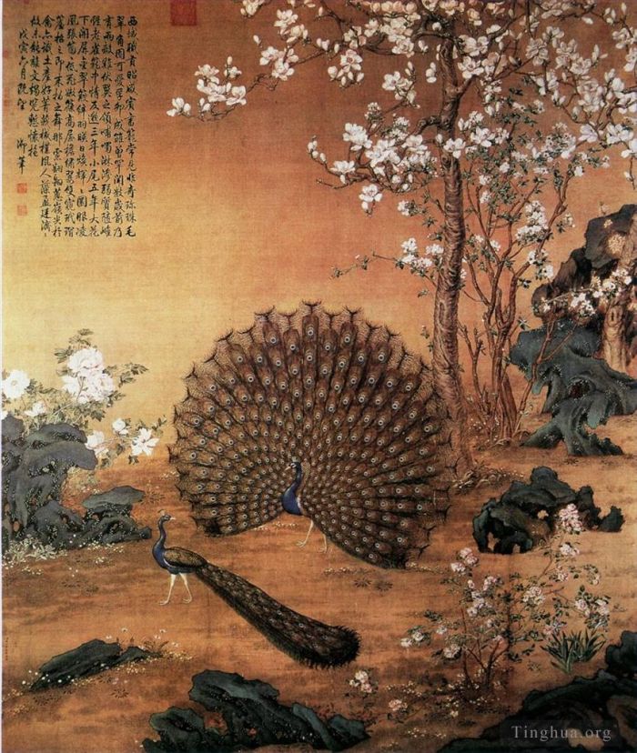 Giuseppe Castiglione Chinese Painting - Proudasa Peacock