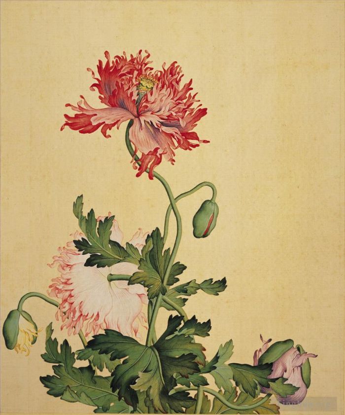 Giuseppe Castiglione Chinese Painting - Poppy