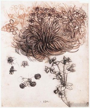Artist Leonardo da Vinci's Work - Star of Bethlehem and other plants