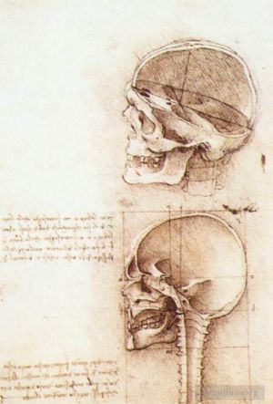 Artist Leonardo da Vinci's Work - Studies of human skull