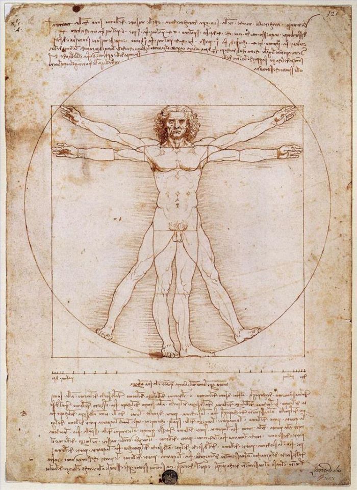Leonardo da Vinci Various Paintings - Vitruvian Man