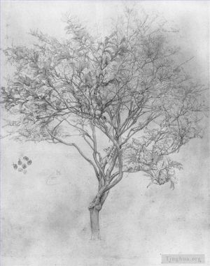 Artist Frederic Leighton's Work - Study of a Lemon Tree
