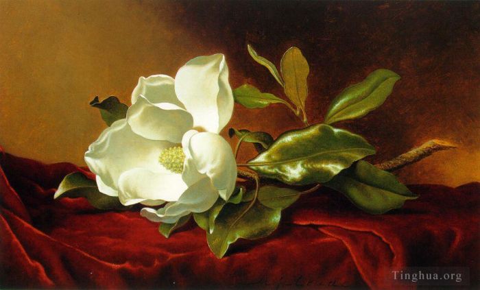 Martin Johnson Heade Oil Painting - A Magnolia on Red Velvet