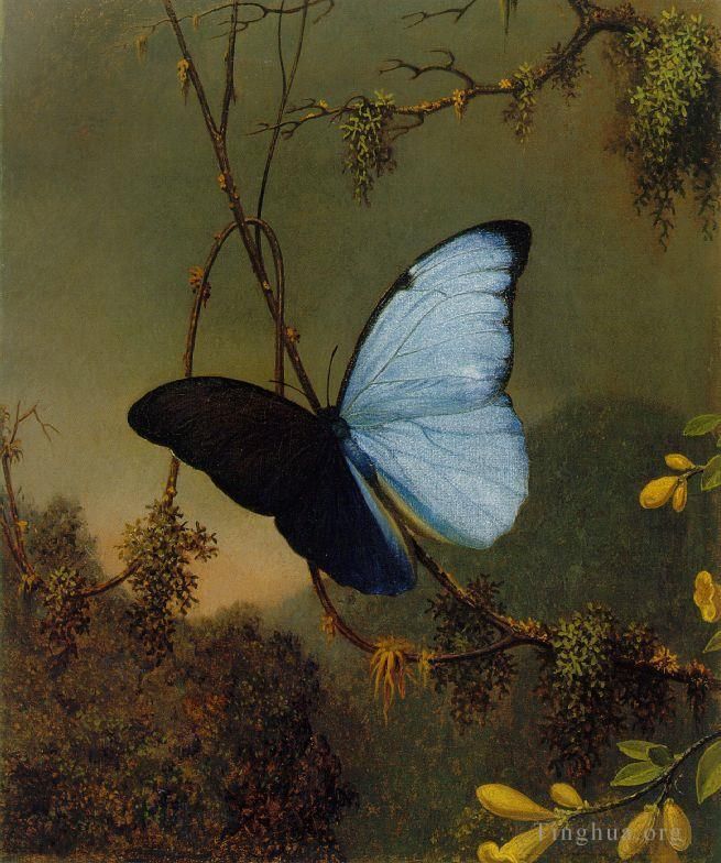 Martin Johnson Heade Oil Painting - Blue Morpho Butterfly