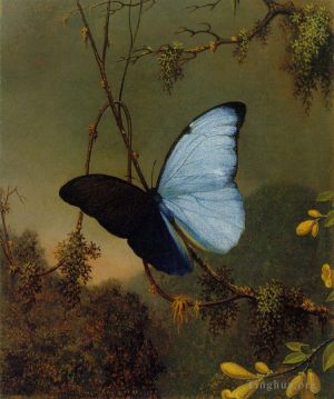 Artist Martin Johnson Heade's Work - Blue Morpho Butterfly