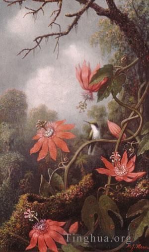 Martin Johnson Heade Oil Painting - Hummingbird And Passionflowers