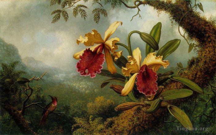 Martin Johnson Heade Oil Painting - Orchids and Hummingbird