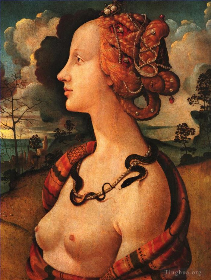 Piero di Cosimo Oil Painting - Portrait of Simonetta Vespucci 1480
