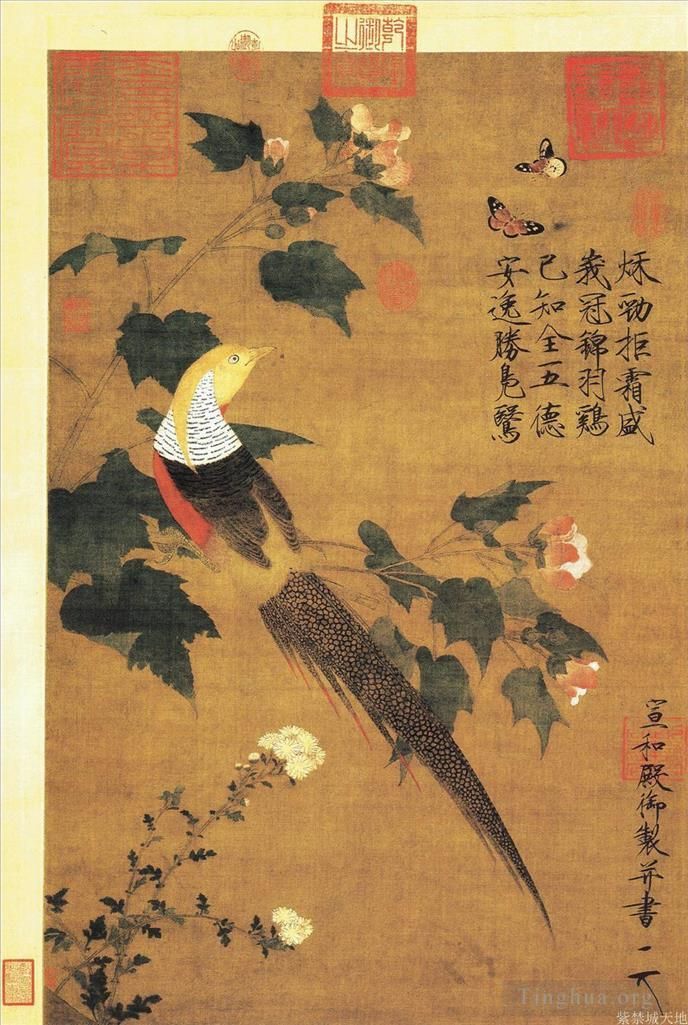 Zhao Ji Chinese Painting - Golden pheasant and cotton rose flowers