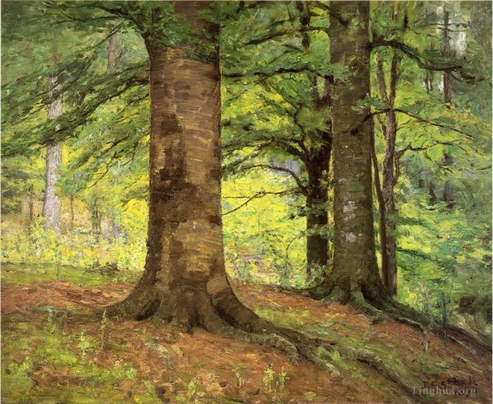 Theodore Clement Steele Oil Painting - Beech Trees