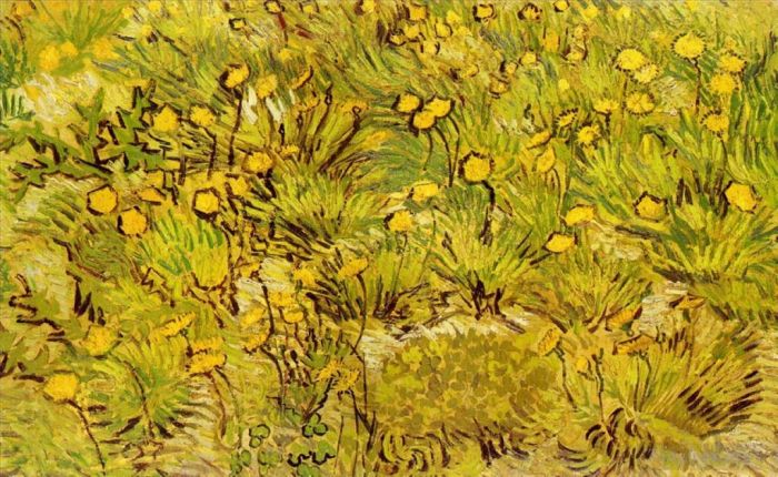 Vincent van Gogh Oil Painting - A Field of Yellow Flowers