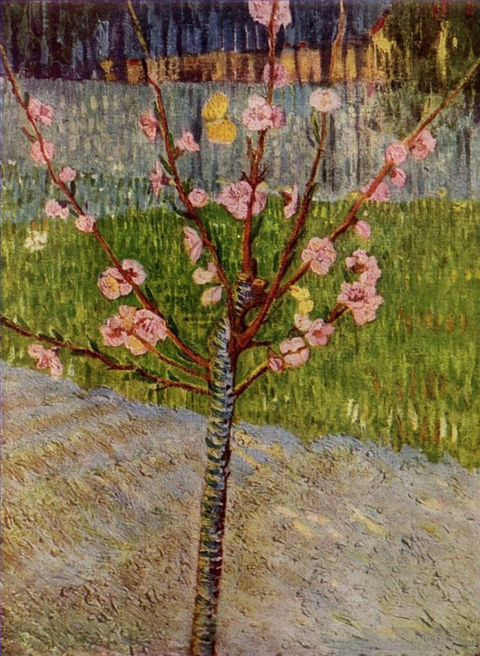 Vincent van Gogh Oil Painting - Almond Tree in Blossom