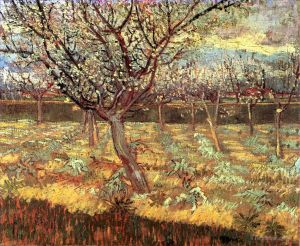 Artist Vincent van Gogh's Work - Apricot Trees in Blossom