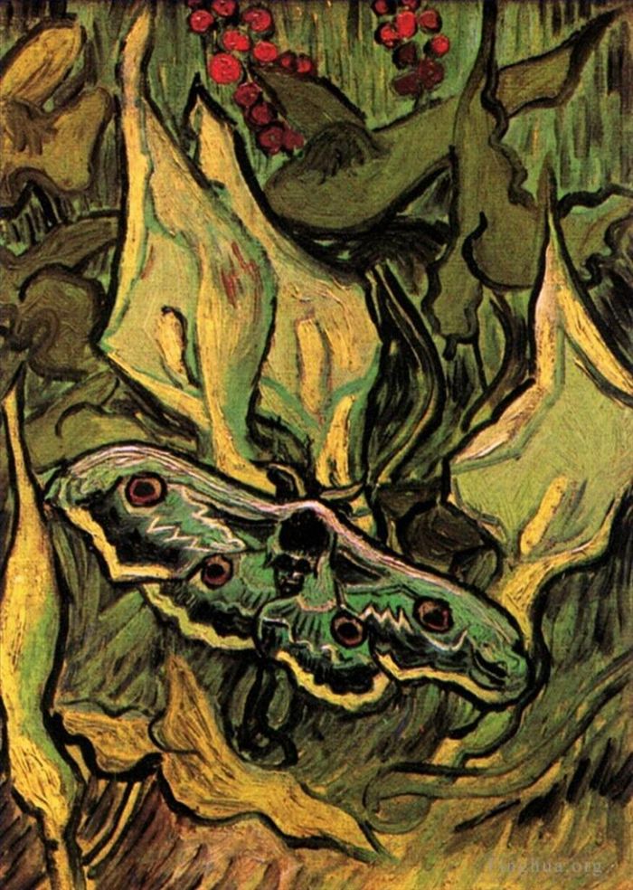 Vincent van Gogh Oil Painting - Great Peacock Moth