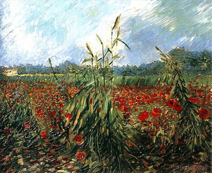Vincent van Gogh Oil Painting - Green Ears of Wheat