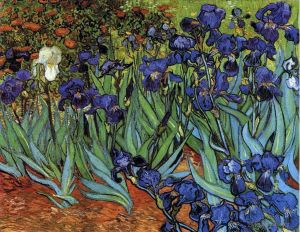Artist Vincent van Gogh's Work - Irises