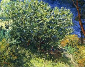 Artist Vincent van Gogh's Work - Lilac Bush