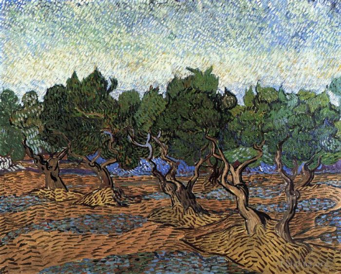 Vincent van Gogh Oil Painting - Olive Grove 2