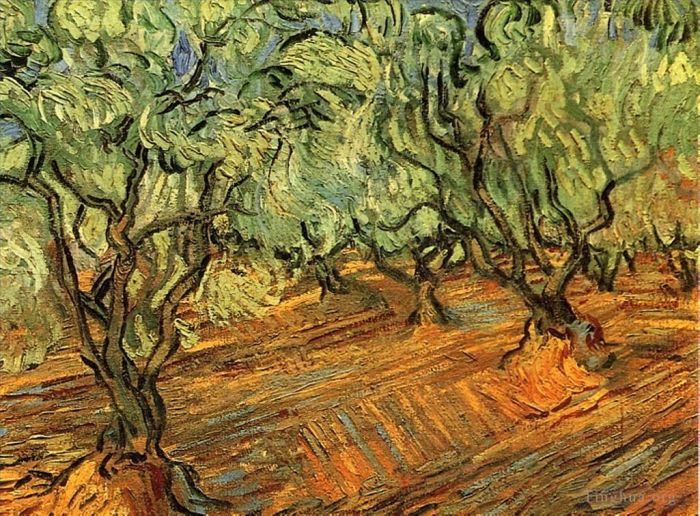 Vincent van Gogh Oil Painting - Olive Grove Bright Blue Sky 2