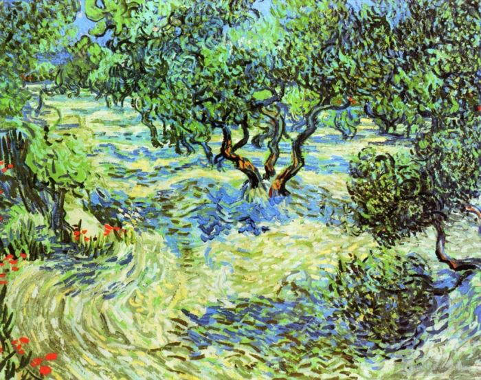 Vincent van Gogh Oil Painting - Olive Grove Bright Blue Sky