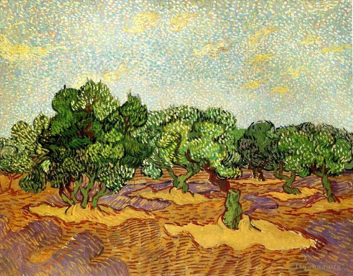 Vincent van Gogh Oil Painting - Olive Grove Pale Blue Sky