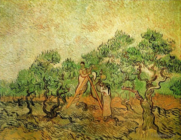 Vincent van Gogh Oil Painting - Olive Picking 3