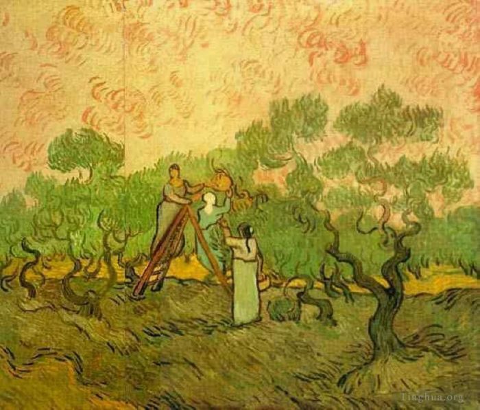Vincent van Gogh Oil Painting - Olive Picking