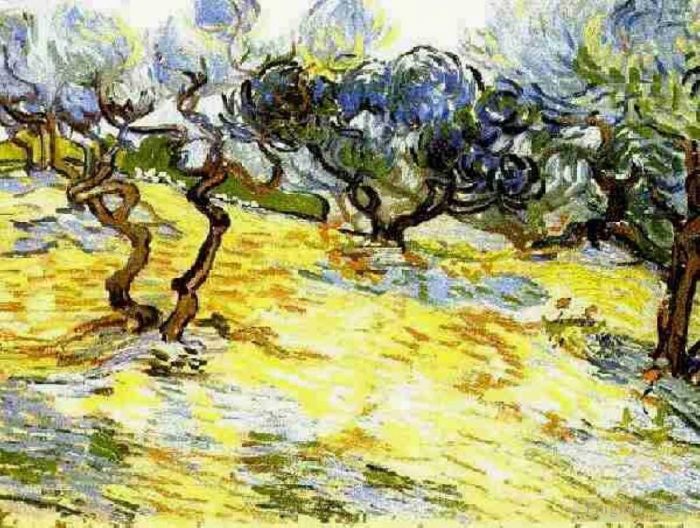 Vincent van Gogh Oil Painting - Olive Trees Bright Blue Sky