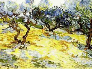 Artist Vincent van Gogh's Work - Olive Trees Bright Blue Sky