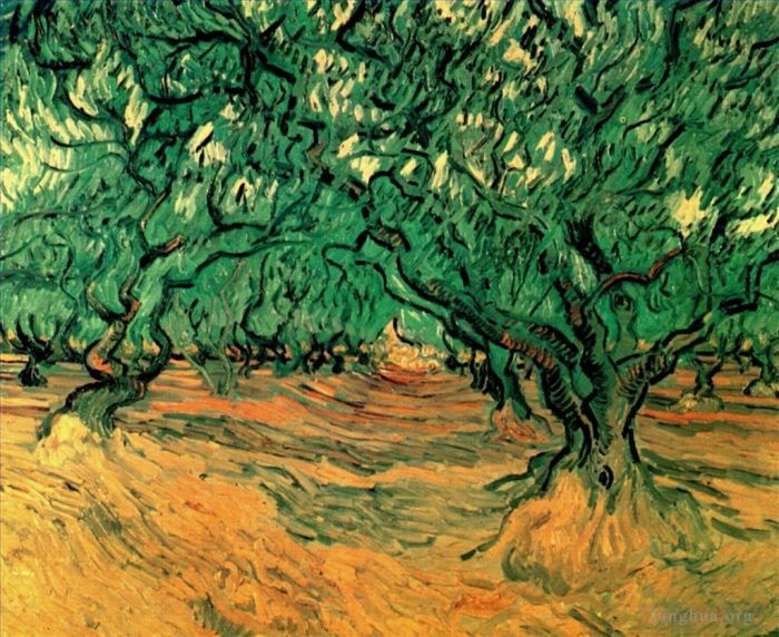 Vincent van Gogh Oil Painting - Olive Trees