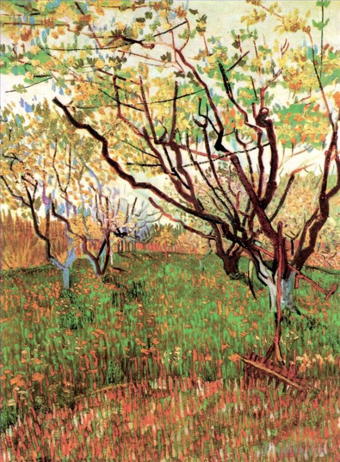 Vincent van Gogh Oil Painting - Orchard in Blossom