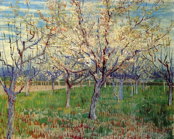 Vincent van Gogh Oil Painting - Orchard with Blossoming Apricot Trees