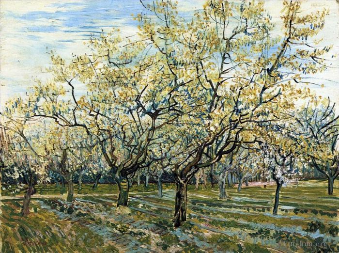 Vincent van Gogh Oil Painting - The White Orchard