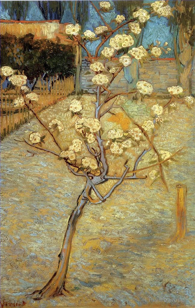Vincent van Gogh Oil Painting - Pear Tree in Blossom