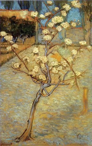 Artist Vincent van Gogh's Work - Pear Tree in Blossom