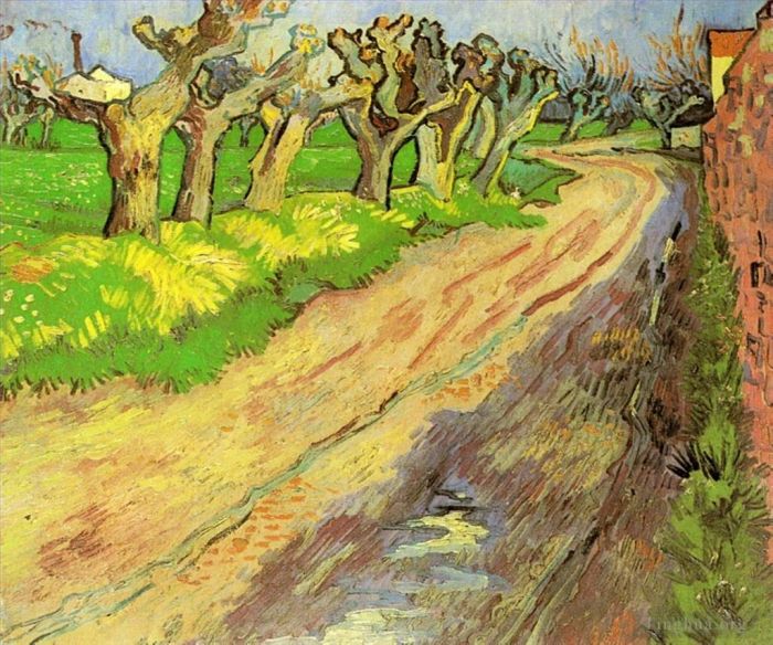 Vincent van Gogh Oil Painting - Pollard Willows