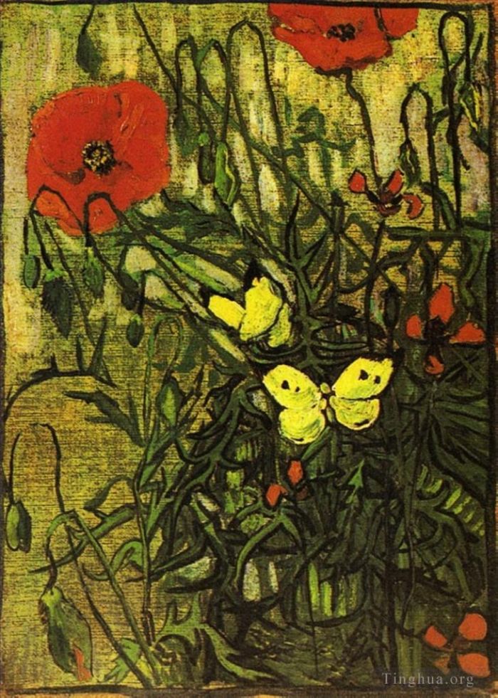 Vincent van Gogh Oil Painting - Poppies and Butterflies