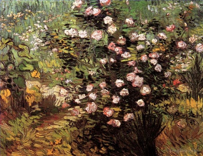 Vincent van Gogh Oil Painting - Rosebush in Blossom