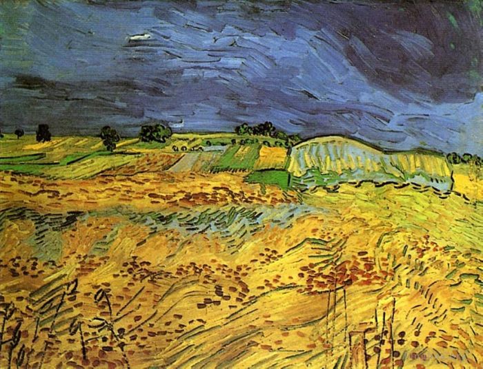 Vincent van Gogh Oil Painting - The Fields