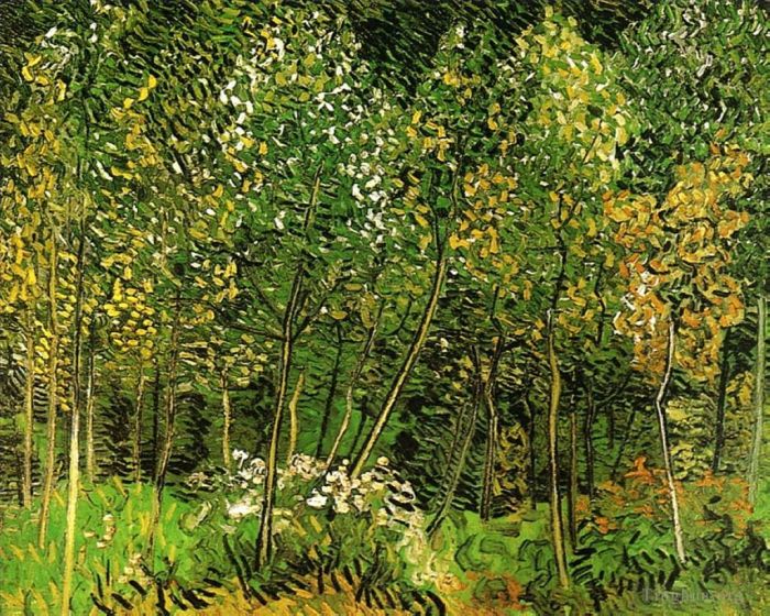 Vincent van Gogh Oil Painting - The Grove