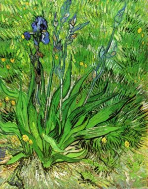 Artist Vincent van Gogh's Work - The Iris