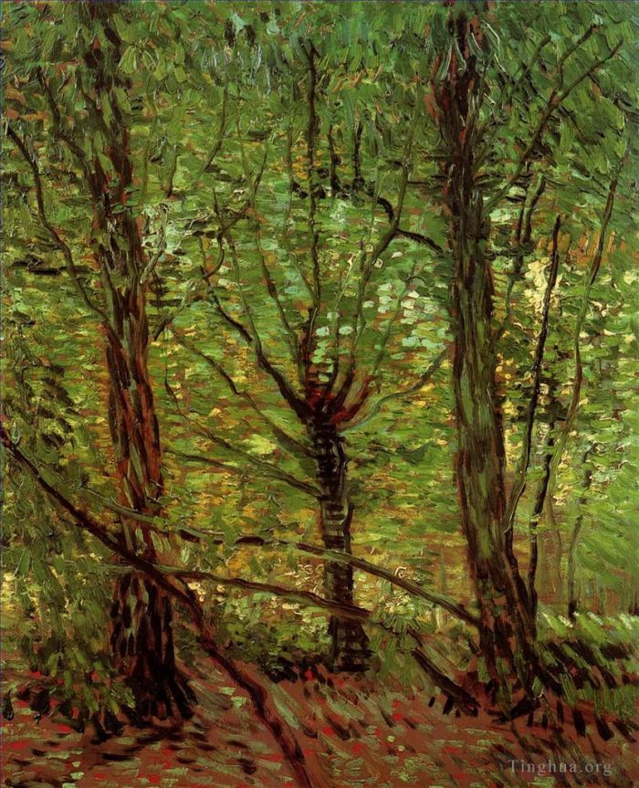 Vincent van Gogh Oil Painting - Trees and Undergrowth 2